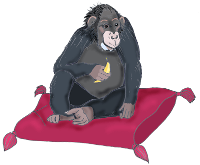 woorden flitsen leidt tot meer zelfvertrouwen